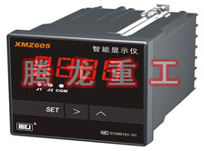 溫度表、數(shù)字顯示儀、濕度表