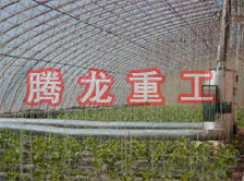 大棚花卉供暖設備、大棚卉采暖設備、大棚花卉取暖設備